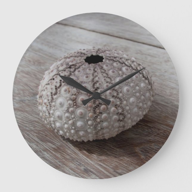 Muschel auf eine hölzerne Tabelle Große Wanduhr (Vorderseite)