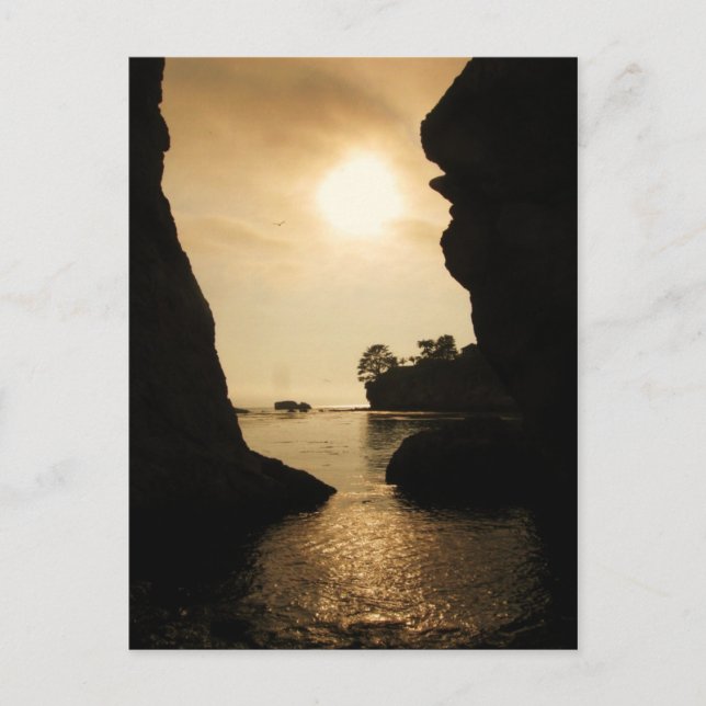 Muschel Beach Postkarte (Vorderseite)