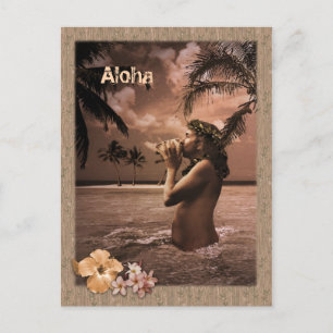 Muschel blasen postkarte