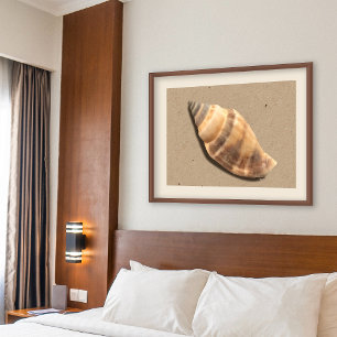 Muschel Braune und Tan Strip Conch Poster