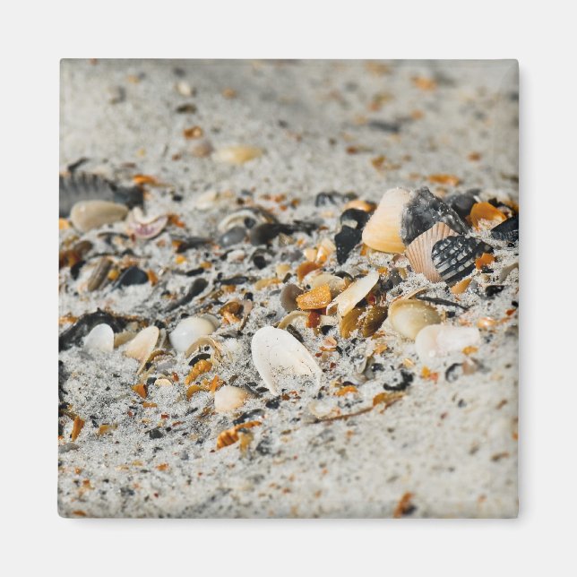 Muschel-Cache Magnet (Vorne)