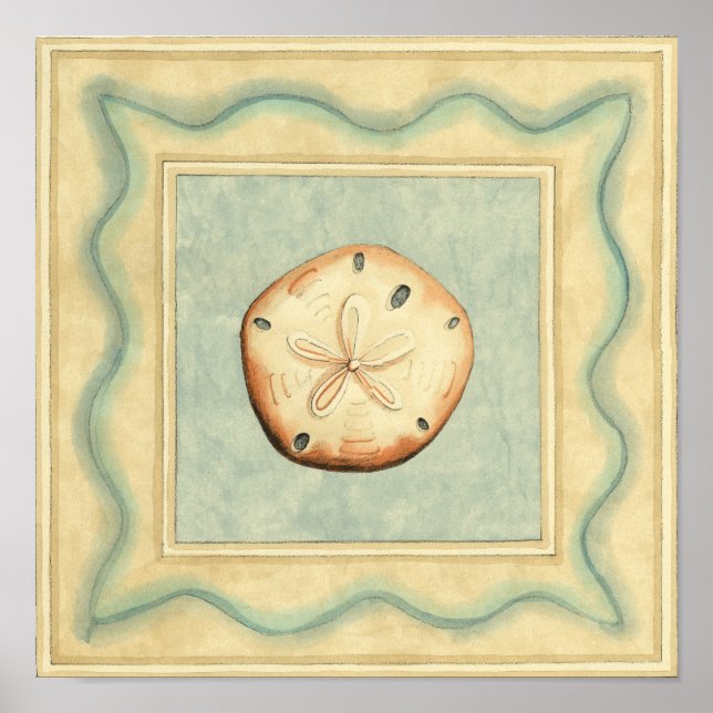 Muschel Collector Poster (Vorne)