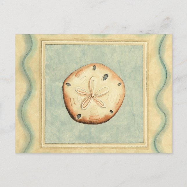 Muschel Collector Postkarte (Vorderseite)