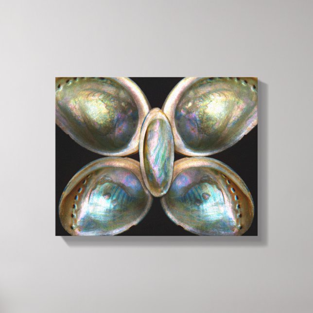 Muschel - Conchology - Devine Pearlescence Leinwanddruck (Vorderseite)