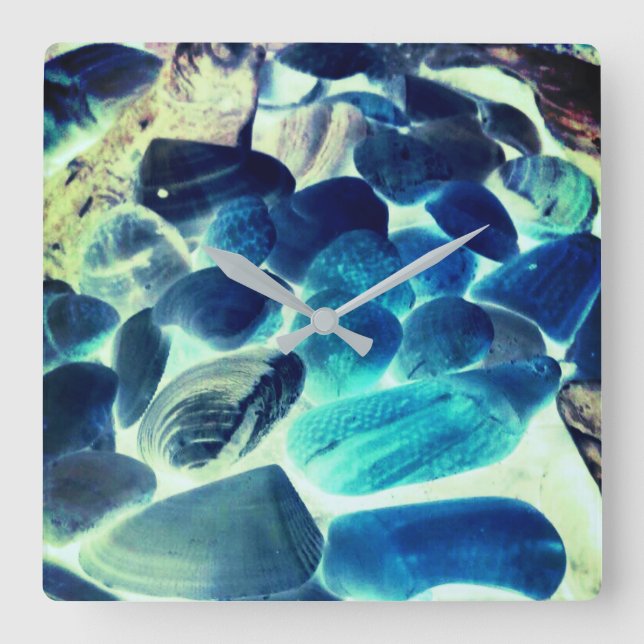 Muschel der Austern, Farbe blau in grau Quadratische Wanduhr (Vorderseite)