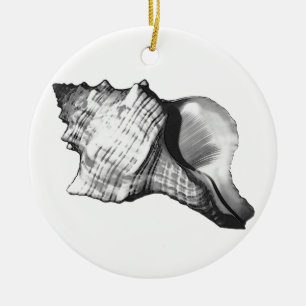 Muschel des Conchs - Grautöne Keramik Ornament
