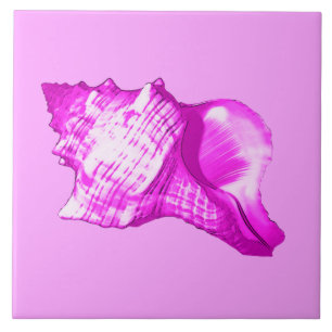 Muschel des Conchs - Orchideen und Weiß Fliese