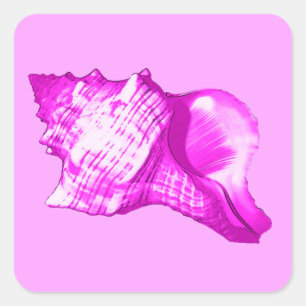 Muschel des Conchs - Orchideen und Weiß Quadratischer Aufkleber