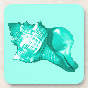 Muschel des Conchs - Türkis, Weiß und Wasser Getränkeuntersetzer