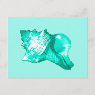 Muschel des Conchs - Türkis, Weiß und Wasser Postkarte