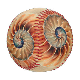 Muschel des Lebens Baseball