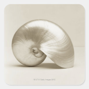 Muschel des Perlschwimms Quadratischer Aufkleber