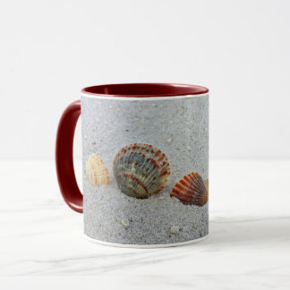 Muschel einer Tasse