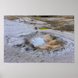 Muschel Frühling im Yellowstone Nationalpark, Wyom Poster