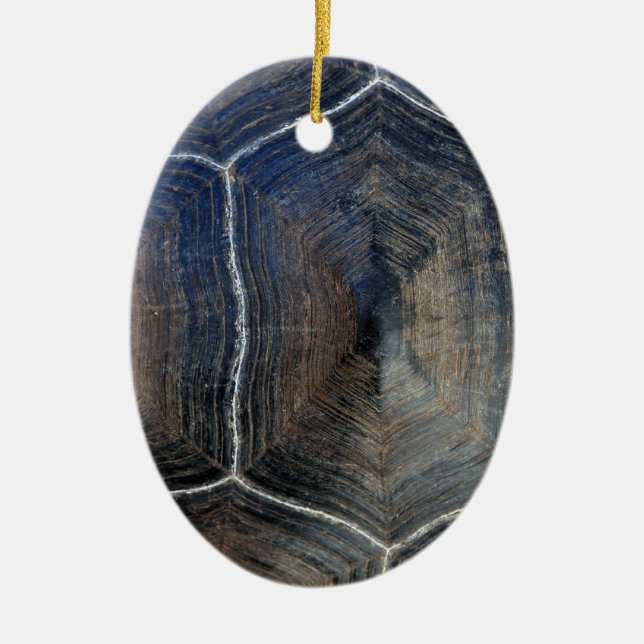 Muschel Galapagos Keramik Ornament (Vorne)