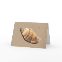 Muschel-Grußkarte für braunes und gestreiftes Konk