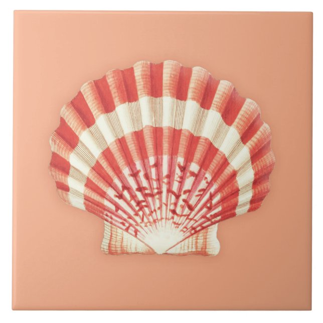Muschel im Meer - orange und weiß Fliese (Vorderseite)