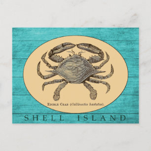 Muschel Island Crab Postcard Postkarte
