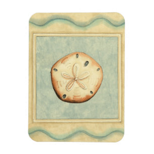 Muschel-Kollektor Magnet