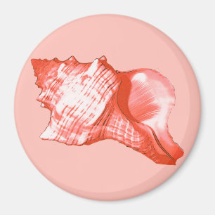 Muschel - Korallen, Muschel rosa und weiß Magnet