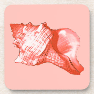 Muschel - Korallen, Muschel rosa und weiß Untersetzer