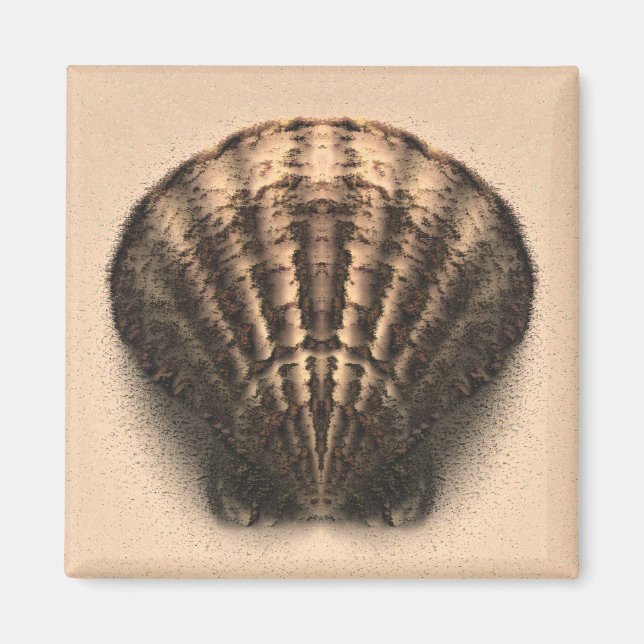 Muschel Magnet (Vorne)