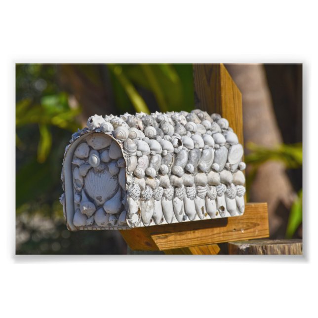 Muschel Mailbox, Fort Myers Beach, Florida Fotodruck (Vorne)
