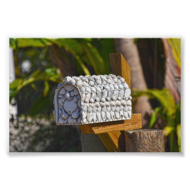 Muschel Mailbox, Fort Myers Beach, Florida Fotodruck (Vorne)