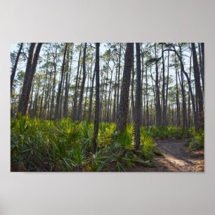 Muschel Mound Park Trail, Dauphin Island, Al Poster