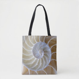 Muschel | Nautilus | Goldene Spirale