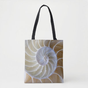 Muschel Nautilus Goldene Spirale