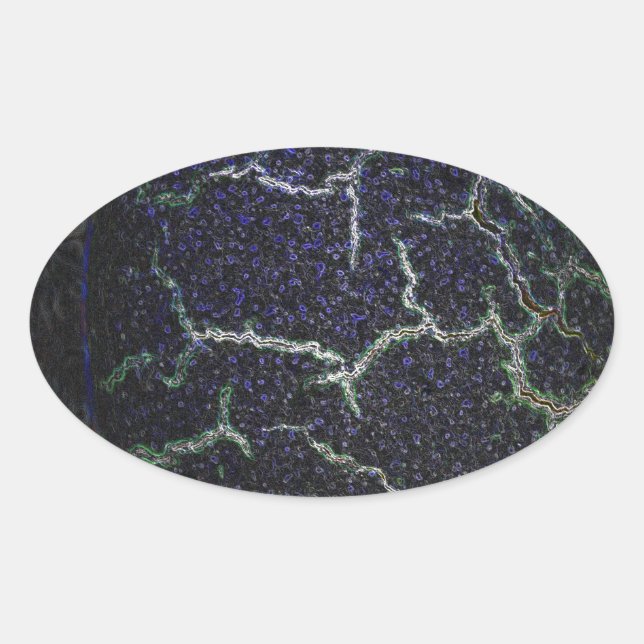 Muschel Ovaler Aufkleber (Vorderseite)