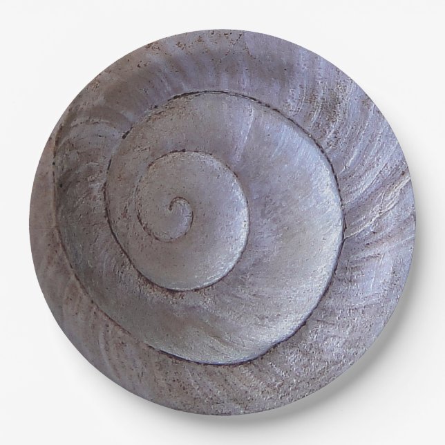 Muschel Pappteller (Vorderseite)