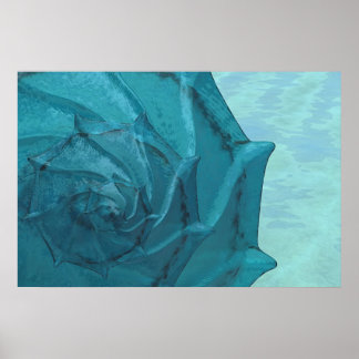 Muschel Poster