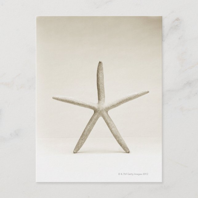 Muschel Postkarte (Vorderseite)