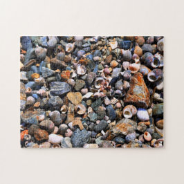 Muschel-Puzzlespiel Puzzle