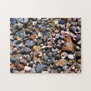 Muschel-Puzzlespiel Puzzle