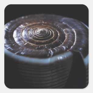 Muschel Quadratischer Aufkleber