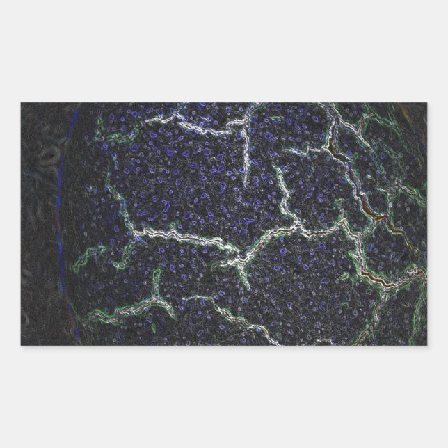 Muschel Rechteckiger Aufkleber (Vorderseite)