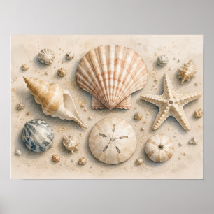 Muschel-Sammlung Poster Wasserfarbe Küste
