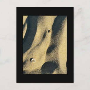 Muschel Sand und Schatten Postkarte
