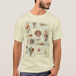 Muschel-Shirt T-Shirt