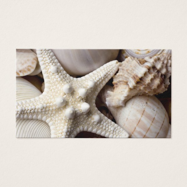 Muschel Starfish Hintergrund - Beach Muscheln (Vorderseite)