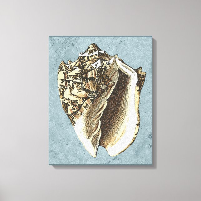Muschel Stonewash Conch Leinwanddruck (Vorderseite)