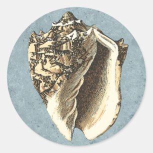 Muschel Stonewash Conch Runder Aufkleber