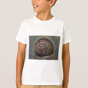 Muschel T-Shirt