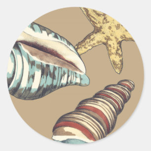 Muschel-Trio auf kakifarbigem Runder Aufkleber