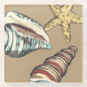 Muschel Trio über Khaki Glasuntersetzer