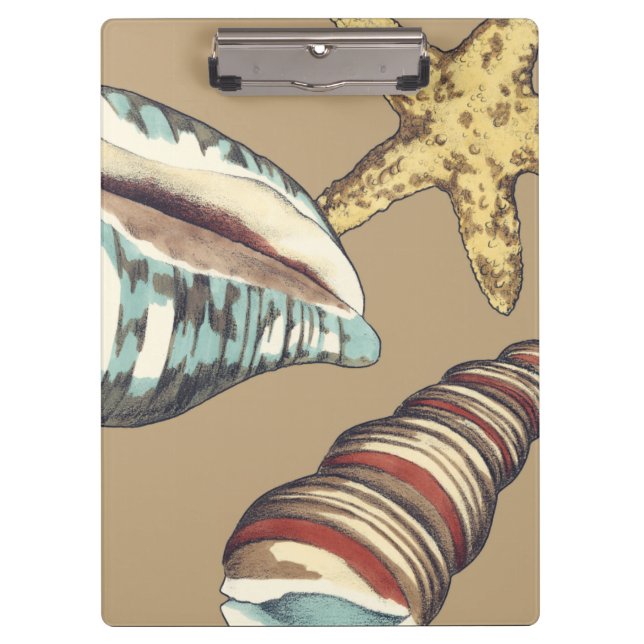 Muschel Trio über Khaki Klemmbrett (Vorderseite)