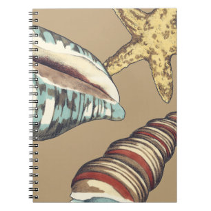 Muschel Trio über Khaki Notizblock